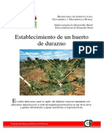 Establecimiento de un huerto de durazno en el Altiplano Nacional