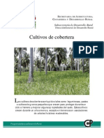 Cultivos de Cobertera PDF