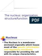 The Nucleus