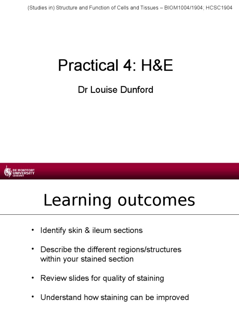 Practical 4 - H&E | PDF