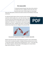 Sel Eukariotik Dan Prokariotik