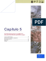 CAP05.pdf