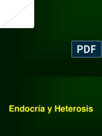 Heterosis PDF