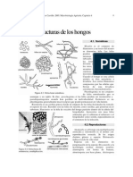 Estructuras de los hongos.pdf