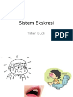 Sistem Ekskresi