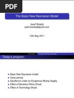 The Basic New Keynesian Model: Josef Stráský