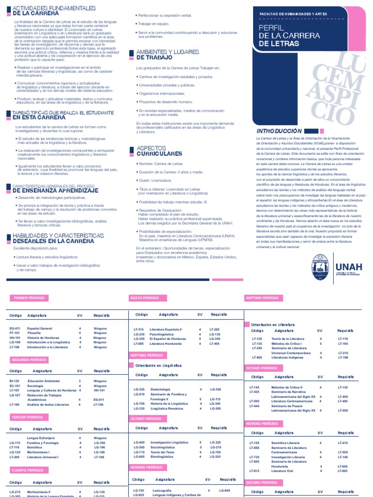 Plan de Estudios Letras | PDF | Lingüística | Lectura (proceso)
