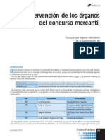 Procedimiento Concursal RESUMEN