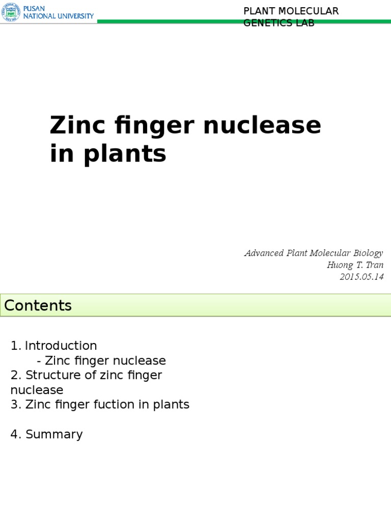 Zinc Finger Nuclease Applications in Plants | PDF | Dna Repair ...