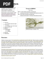 Wikipedia Vulvar Cancer For Check Diseases And Disorders