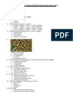 Soal Uti Kidney