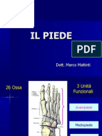 Medicina - Il Piede Anatomia E Fisiologia Articolare