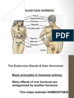 The Endocrine System and its Major Hormones