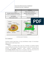 Perbedaan Sel Hewan Dan Sel Tumbuhan