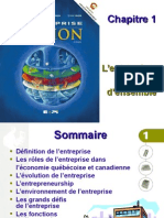 Chap1 L'Entreprise Une Vue D'ensemble