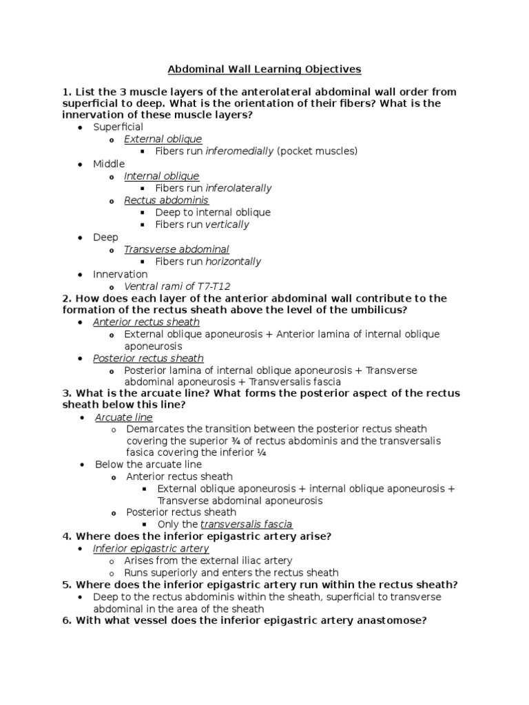 Abdominal Wall Learning Objectives | PDF | Abdomen | Soft Tissue