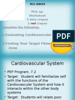 7th Grade Cardiovascular System 2014