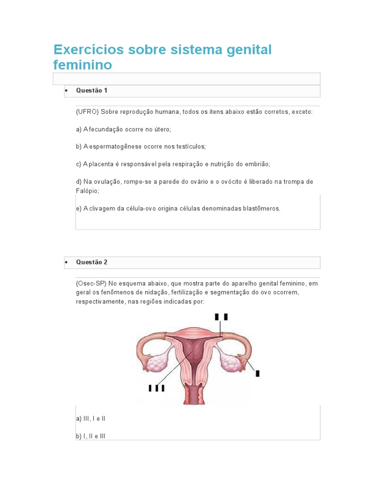 Exercícios Sobre Sistema Genital Feminino | PDF