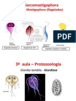 3 Aula Teórica de Parasito I - Giardia Lamblia - Giardíase