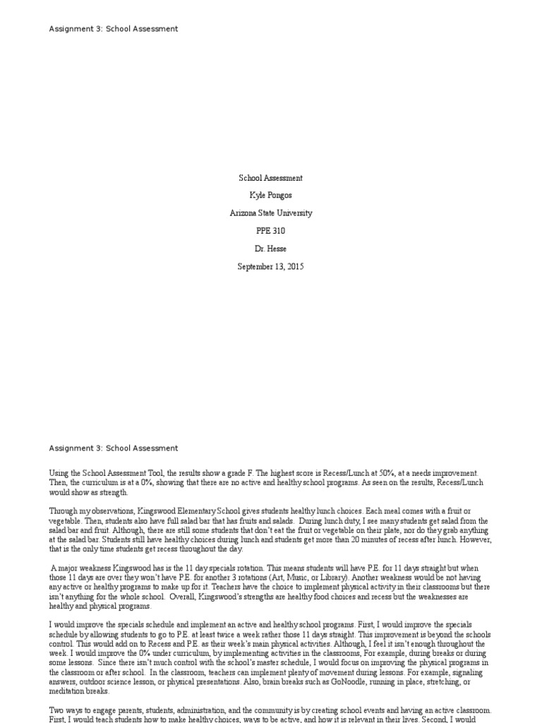 Economics school based assessment essay image