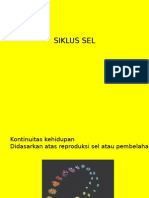 3. SIKLUS SEL 1