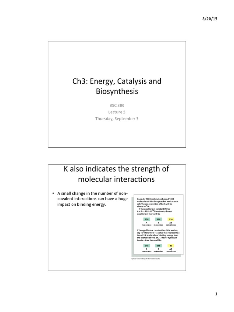 Enzyme Kinetics and Catalysis Insights | PDF | Adenosine Triphosphate ...