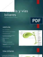 Vesícula y Vías Biliares