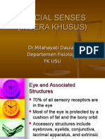 Eyes Phisiology