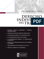 Derecho Individual Del Trabajo PDF