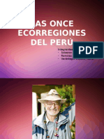 Las Once Ecorregiones Del Perú