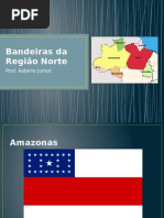 Bandeiras dos Estados do Nordeste Brasileiro | PDF | Brasil | Vermelho