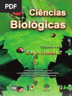 PROJETO_EXPERIMENTACAO