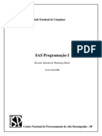 SAS - Programação