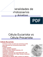 Protozoarios y Amebas