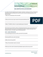 Bacterial Identification Lab Worksheet Student