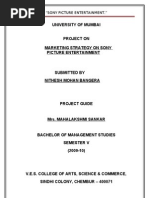 Download Sony Pictures by sheemankhan SN28080315 doc pdf