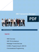 IMS Transaction Manager