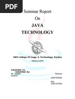 Java Seminar Report