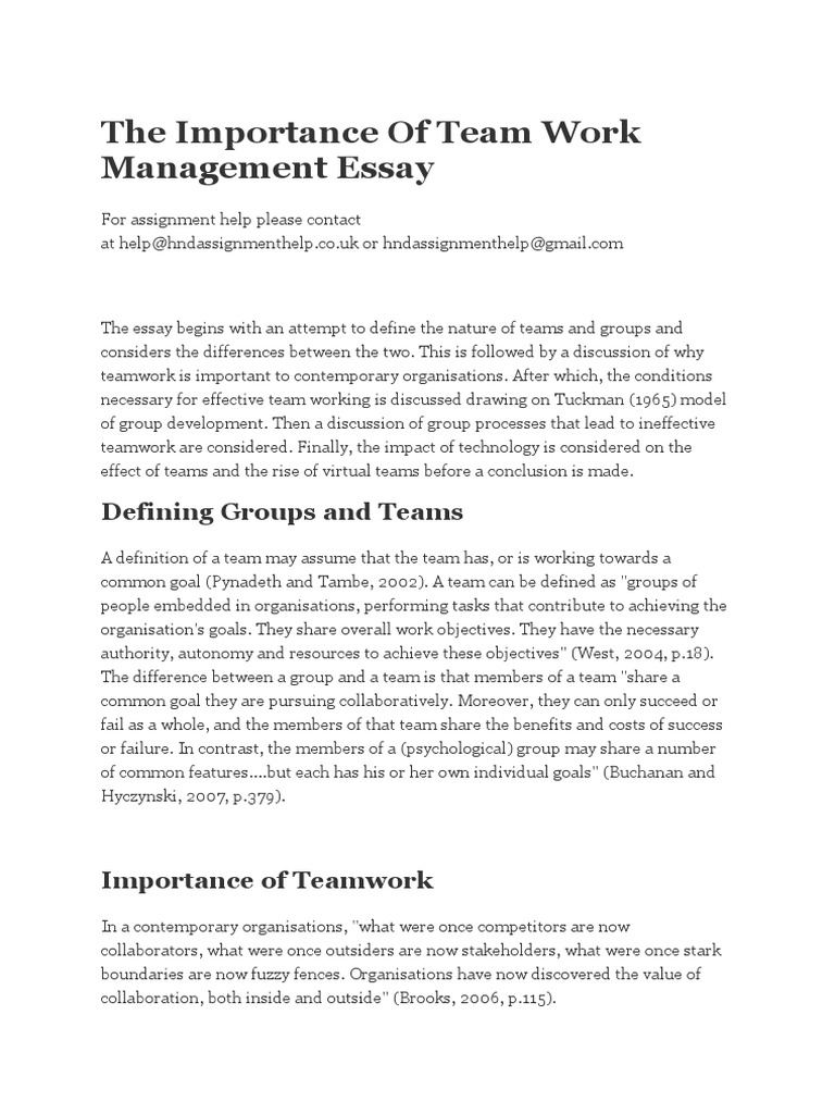 essay on team management