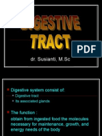 Digestive Ss