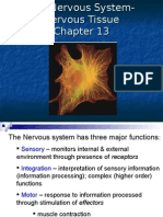 Anatomy Nervous Tissue - Chap 13
