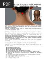 Download Terapi-Es-Batu-Feng-Fudocx by Kimas To Piek SN280882172 doc pdf