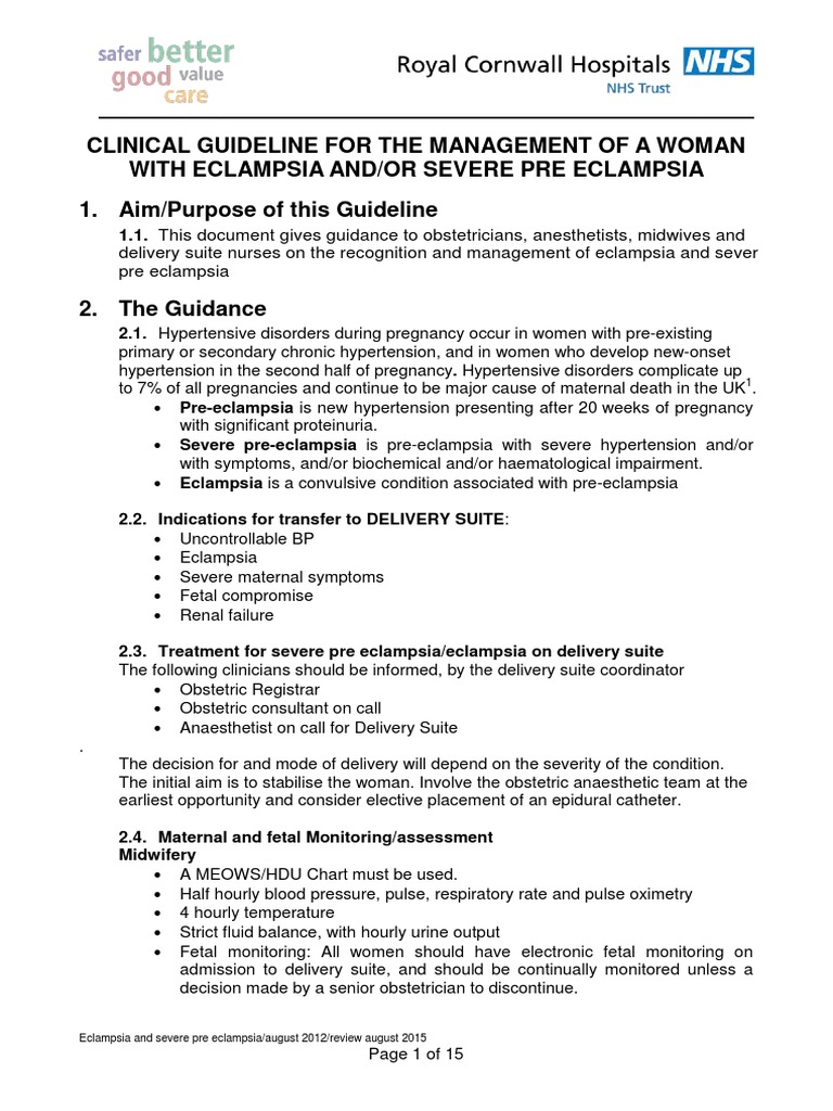Pre Eclampsia Eclampsia Guideline For The Management of Severe | PDF ...