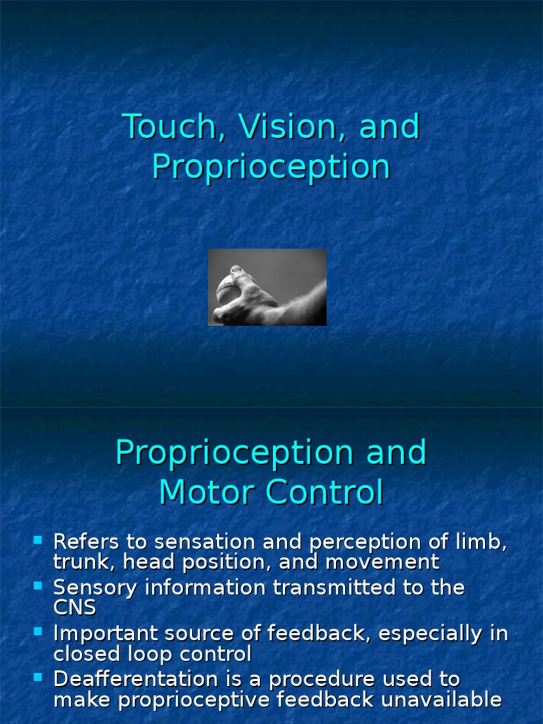 Proprioception and Vision in Motor Control | PDF | Self-Improvement ...