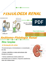 Fisiologia Renal I EF Maio 09