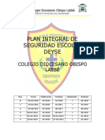 12 Plan Integral Deyse 2013