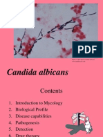 Candida Albicans: Figure 1. Skin Smear Candida Albicans WWW - Meddean.luc - Edu