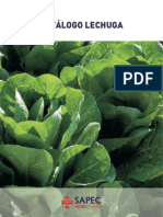 Cultivo lechuga.pdf