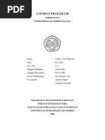 Download laporan embrio katak by Yudhis SN28094106 doc pdf