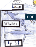 3rdGR Whale Book